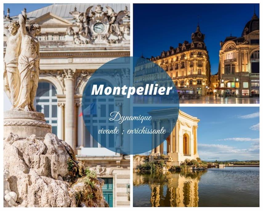 Le Murmure Du Palmier * Mer A 2 Min * Parking Prive * Terrasse La Grande Motte Bagian luar foto